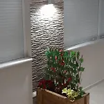 Stbs Luxury, Néa Fókaia